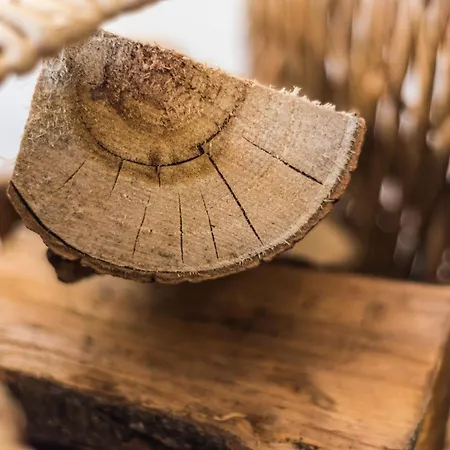 Strandblick זינקסט